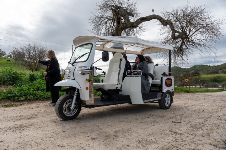 White tuk-tuk on a dirt road with people inside and a bare tree in the background.