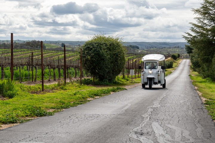 Tuk-tuk on a rural road bordered by vineyards and trees under a cloudy sky.