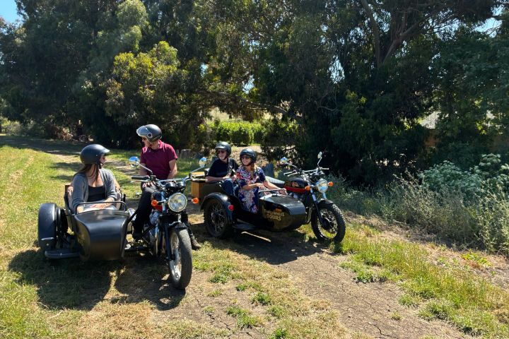 Two motorbikes with sidecars, three adults and two kids wearing helmets in a grassy area.